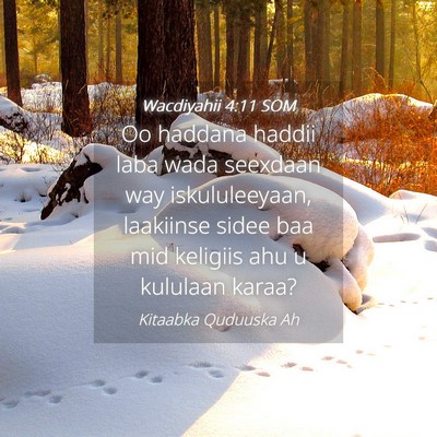 Picture 04 - Wacdiyahii 4:11 SOM - Oo haddana haddii laba wada seexdaan way - Bible Verse Picture