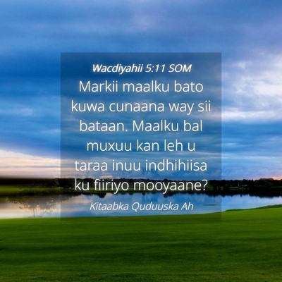 Picture 04 - Wacdiyahii 5:11 SOM - Markii maalku bato kuwa cunaana way sii bataan. - Bible Verse Picture