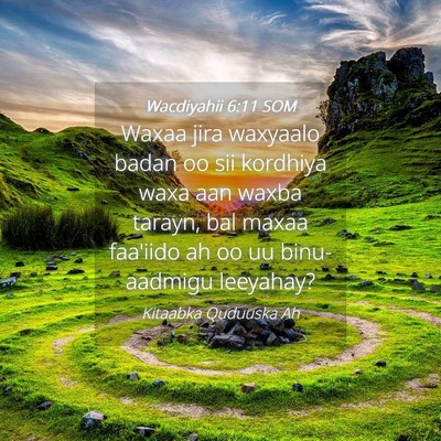 Picture 04 - Wacdiyahii 6:11 SOM - Waxaa jira waxyaalo badan oo sii kordhiya waxa - Bible Verse Picture