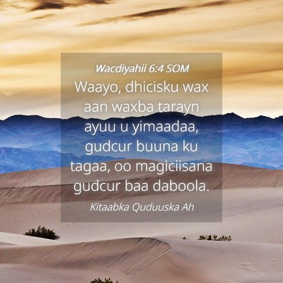Picture 04 - Wacdiyahii 6:4 SOM - Waayo, dhicisku wax aan waxba tarayn ayuu u - Bible Verse Picture