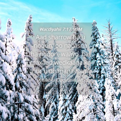 Picture 04 - Wacdiyahii 7:17 SOM - Aad sharrow ha u noqon, oo nacasna ha noqon, - Bible Verse Picture