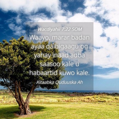 Picture 04 - Wacdiyahii 7:22 SOM - Waayo, marar badan ayaa qalbigaagu og yahay inaad - Bible Verse Picture