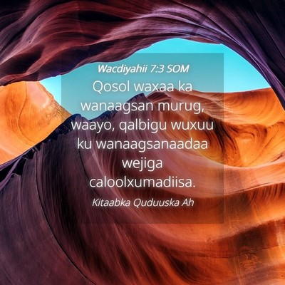 Picture 04 - Wacdiyahii 7:3 SOM - Qosol waxaa ka wanaagsan murug, waayo, qalbigu - Bible Verse Picture