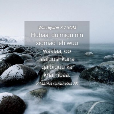 Picture 04 - Wacdiyahii 7:7 SOM - Hubaal dulmigu nin xigmad leh wuu waalaa, oo - Bible Verse Picture