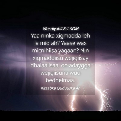 Picture 04 - Wacdiyahii 8:1 SOM - Yaa ninka xigmadda leh la mid ah? Yaase wax - Bible Verse Picture