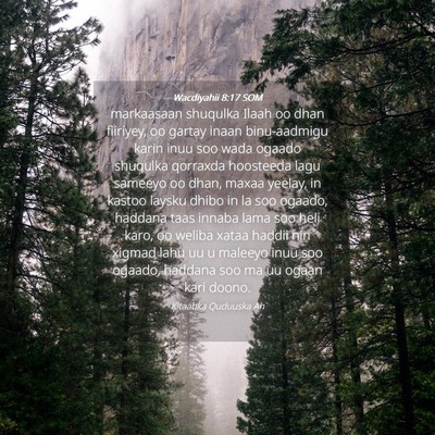 Picture 04 - Wacdiyahii 8:17 SOM - markaasaan shuqulka Ilaah oo dhan fiiriyey, oo - Bible Verse Picture