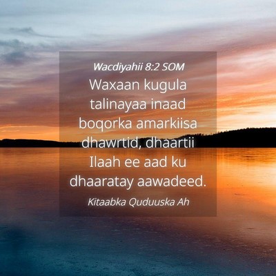 Picture 04 - Wacdiyahii 8:2 SOM - Waxaan kugula talinayaa inaad boqorka amarkiisa - Bible Verse Picture