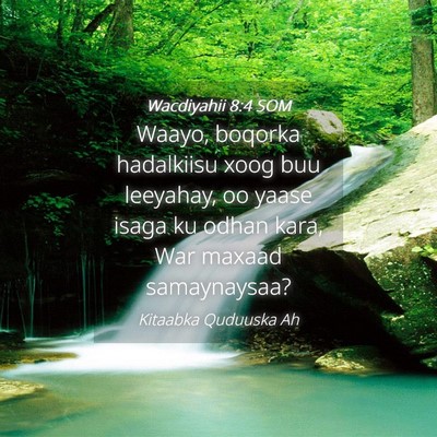 Picture 04 - Wacdiyahii 8:4 SOM - Waayo, boqorka hadalkiisu xoog buu leeyahay, oo - Bible Verse Picture