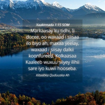 Picture 04 - Xaakinnada 1:15 SOM - Markaasay ku tidhi, Ii ducee, oo waxaad i siisaa - Bible Verse Picture