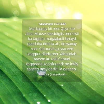 Picture 04 - Xaakinnada 1:16 SOM - Markaasay kii reer Qeyn oo ahaa Muuse seeddigiis - Bible Verse Picture