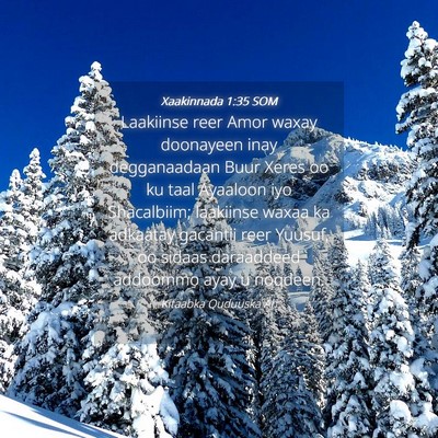 Picture 04 - Xaakinnada 1:35 SOM - Laakiinse reer Amor waxay doonayeen inay - Bible Verse Picture