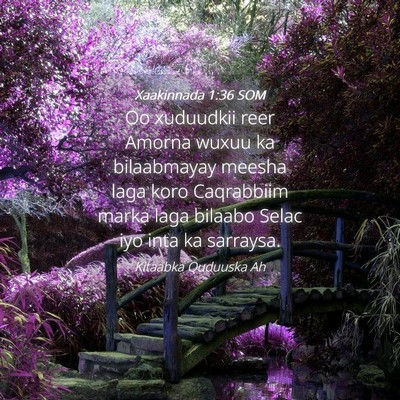 Picture 04 - Xaakinnada 1:36 SOM - Oo xuduudkii reer Amorna wuxuu ka bilaabmayay - Bible Verse Picture