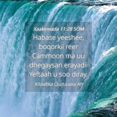 Picture 04 - Xaakinnada 11:28 SOM - Habase yeeshee, boqorkii reer Cammoon ma uu - Bible Verse Picture