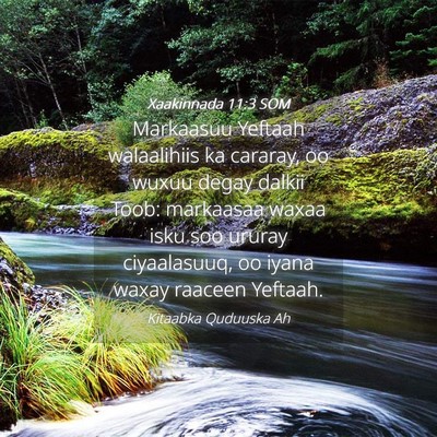 Picture 04 - Xaakinnada 11:3 SOM - Markaasuu Yeftaah walaalihiis ka cararay, oo - Bible Verse Picture