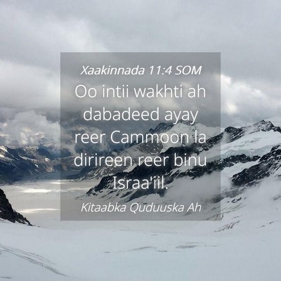 Picture 04 - Xaakinnada 11:4 SOM - Oo intii wakhti ah dabadeed ayay reer Cammoon la - Bible Verse Picture