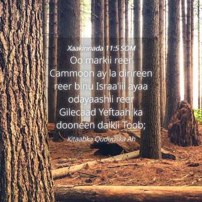 Picture 04 - Xaakinnada 11:5 SOM - Oo markii reer Cammoon ay la dirireen reer binu - Bible Verse Picture