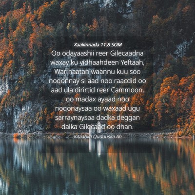 Picture 04 - Xaakinnada 11:8 SOM - Oo odayaashii reer Gilecaadna waxay ku - Bible Verse Picture