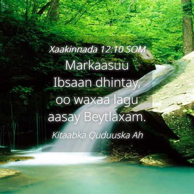 Picture 04 - Xaakinnada 12:10 SOM - Markaasuu Ibsaan dhintay, oo waxaa lagu aasay - Bible Verse Picture