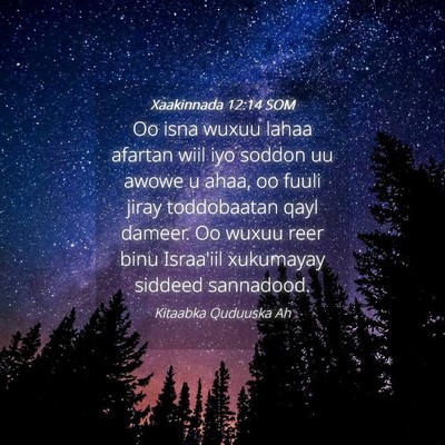 Picture 04 - Xaakinnada 12:14 SOM - Oo isna wuxuu lahaa afartan wiil iyo soddon uu - Bible Verse Picture