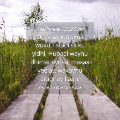Picture 04 - Xaakinnada 13:22 SOM - Oo Maanoo'axna wuxuu afadiisii ku yidhi, Hubaal - Bible Verse Picture
