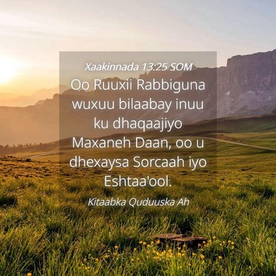 Picture 04 - Xaakinnada 13:25 SOM - Oo Ruuxii Rabbiguna wuxuu bilaabay inuu ku - Bible Verse Picture