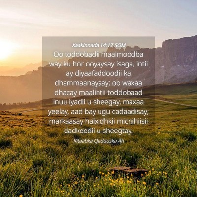 Picture 04 - Xaakinnada 14:17 SOM - Oo toddobadii maalmoodba way ku hor ooyaysay - Bible Verse Picture