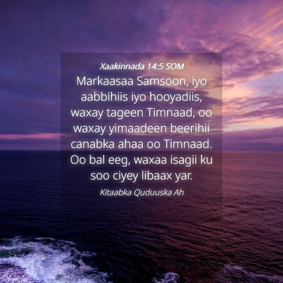 Picture 04 - Xaakinnada 14:5 SOM - Markaasaa Samsoon, iyo aabbihiis iyo hooyadiis, - Bible Verse Picture