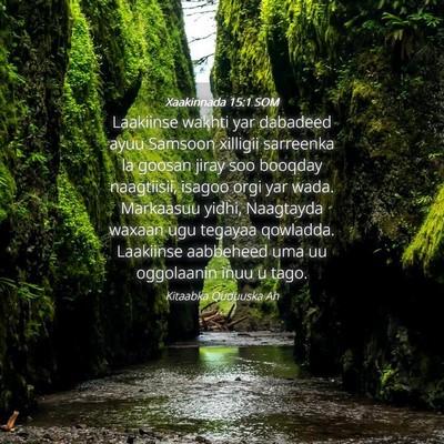 Picture 04 - Xaakinnada 15:1 SOM - Laakiinse wakhti yar dabadeed ayuu Samsoon - Bible Verse Picture