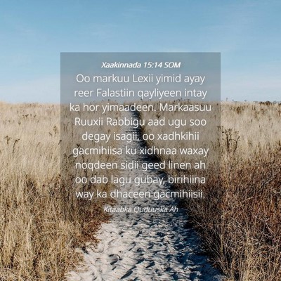 Picture 04 - Xaakinnada 15:14 SOM - Oo markuu Lexii yimid ayay reer Falastiin - Bible Verse Picture