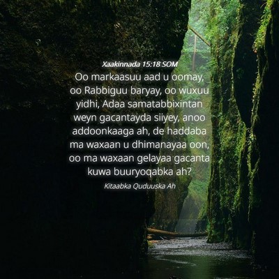 Picture 04 - Xaakinnada 15:18 SOM - Oo markaasuu aad u oomay, oo Rabbiguu baryay, oo - Bible Verse Picture