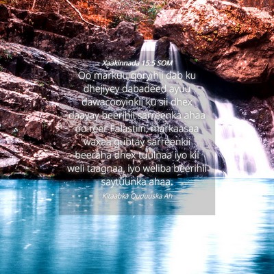 Picture 04 - Xaakinnada 15:5 SOM - Oo markuu qoryihii dab ku dhejiyey dabadeed ayuu - Bible Verse Picture
