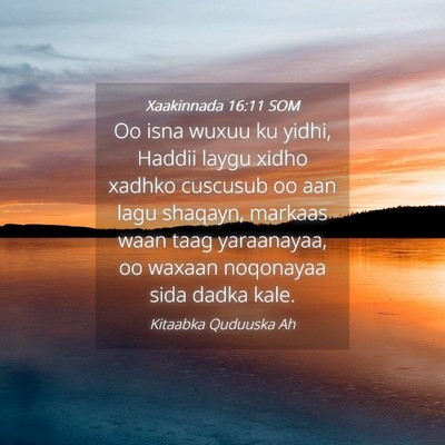 Picture 04 - Xaakinnada 16:11 SOM - Oo isna wuxuu ku yidhi, Haddii laygu xidho xadhko - Bible Verse Picture
