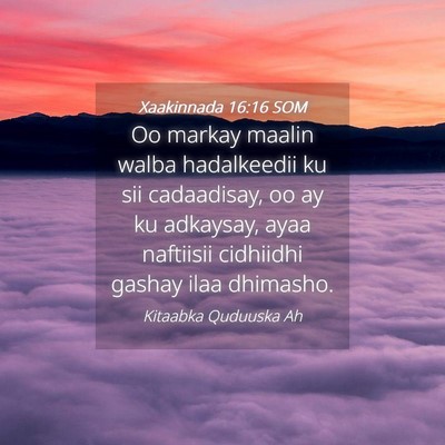 Picture 04 - Xaakinnada 16:16 SOM - Oo markay maalin walba hadalkeedii ku sii - Bible Verse Picture