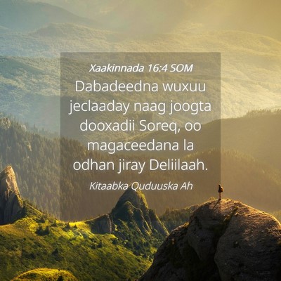 Picture 04 - Xaakinnada 16:4 SOM - Dabadeedna wuxuu jeclaaday naag joogta dooxadii - Bible Verse Picture