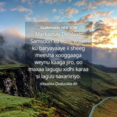 Picture 04 - Xaakinnada 16:6 SOM - Markaasay Deliilaah Samsoon ku tidhi, Waan ku - Bible Verse Picture
