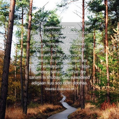 Picture 04 - Xaakinnada 17:3 SOM - Oo kun iyo boqolkii xabbadood oo lacagta ahaa - Bible Verse Picture