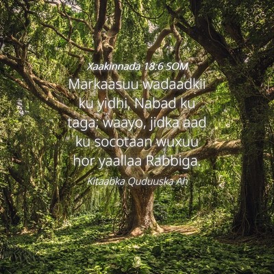 Picture 04 - Xaakinnada 18:6 SOM - Markaasuu wadaadkii ku yidhi, Nabad ku taga; - Bible Verse Picture