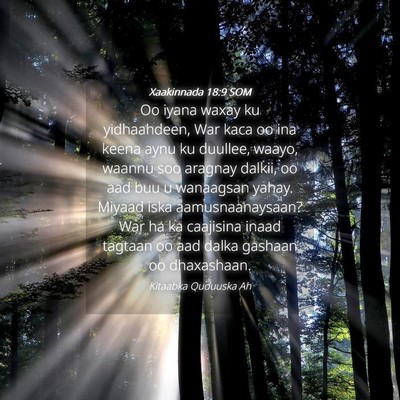 Picture 04 - Xaakinnada 18:9 SOM - Oo iyana waxay ku yidhaahdeen, War kaca oo ina - Bible Verse Picture