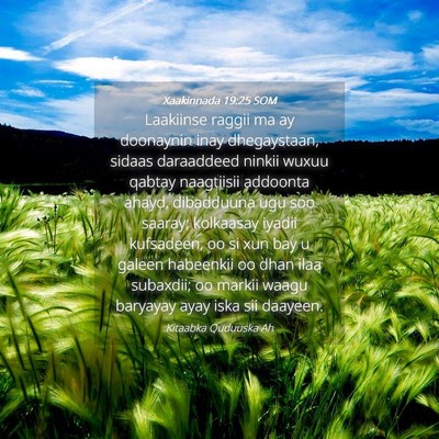 Picture 04 - Xaakinnada 19:25 SOM - Laakiinse raggii ma ay doonaynin inay - Bible Verse Picture