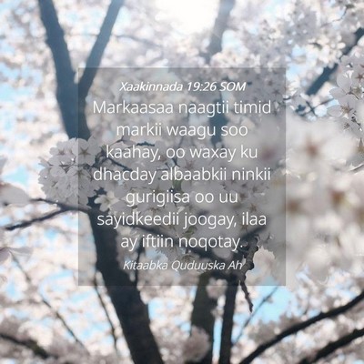 Picture 04 - Xaakinnada 19:26 SOM - Markaasaa naagtii timid markii waagu soo kaahay, - Bible Verse Picture