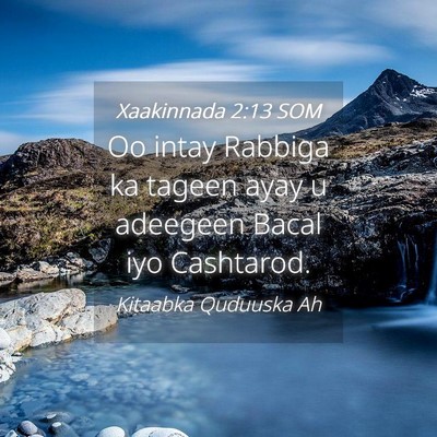 Picture 04 - Xaakinnada 2:13 SOM - Oo intay Rabbiga ka tageen ayay u adeegeen Bacal - Bible Verse Picture