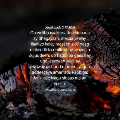 Picture 04 - Xaakinnada 2:17 SOM - Oo weliba xaakinnadoodiina ma ay dhegaysan, maxaa - Bible Verse Picture