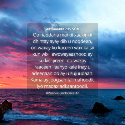Picture 04 - Xaakinnada 2:19 SOM - Oo haddana markii xaakinkii dhintay ayay dib u - Bible Verse Picture