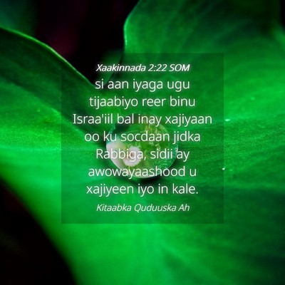 Picture 04 - Xaakinnada 2:22 SOM - si aan iyaga ugu tijaabiyo reer binu Israa'iil - Bible Verse Picture