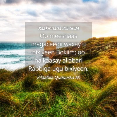 Picture 04 - Xaakinnada 2:5 SOM - Oo meeshaas magaceedii waxay u bixiyeen Bokiim; - Bible Verse Picture