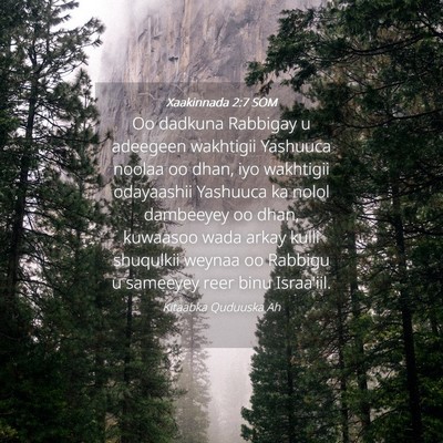 Picture 04 - Xaakinnada 2:7 SOM - Oo dadkuna Rabbigay u adeegeen wakhtigii Yashuuca - Bible Verse Picture