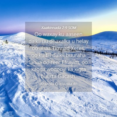 Picture 04 - Xaakinnada 2:9 SOM - Oo waxay ku aaseen dalkii uu dhaxalka u helay oo - Bible Verse Picture