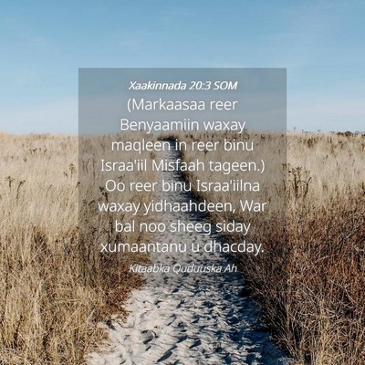 Picture 04 - Xaakinnada 20:3 SOM - (Markaasaa reer Benyaamiin waxay maqleen in reer - Bible Verse Picture
