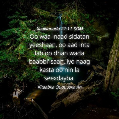 Picture 04 - Xaakinnada 21:11 SOM - Oo waa inaad sidatan yeeshaan, oo aad inta lab oo - Bible Verse Picture