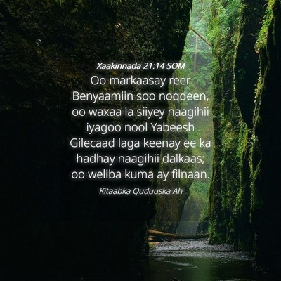 Picture 04 - Xaakinnada 21:14 SOM - Oo markaasay reer Benyaamiin soo noqdeen, oo - Bible Verse Picture
